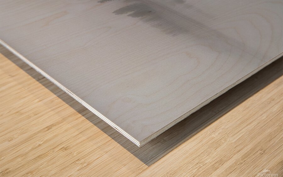 Winter Mist on Lake Siskiyou Wood print