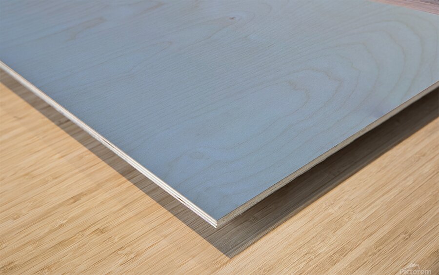 May Alpenglow Mount Shasta Landscape Wood print