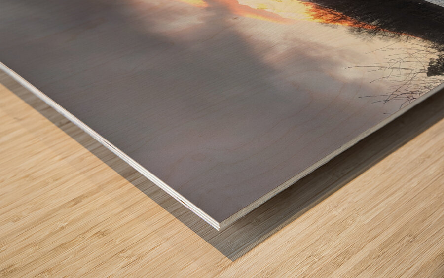 True Gold Alpenglow Wood print