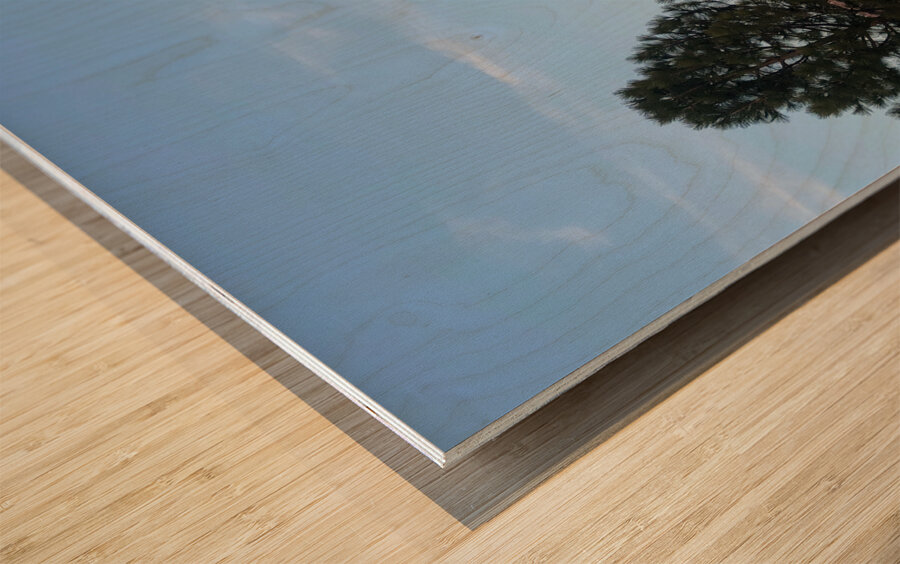 Mount Shasta and Trees Wood print