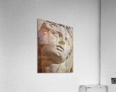 Classic Beauty  Acrylic Print