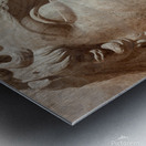 Classic Beauty  Metal print