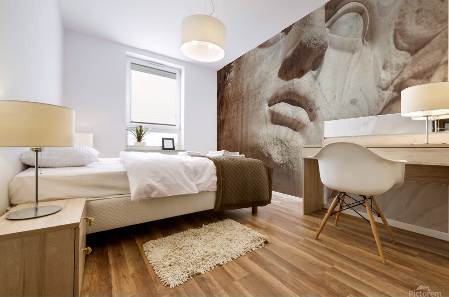 Classic Beauty  Mural print
