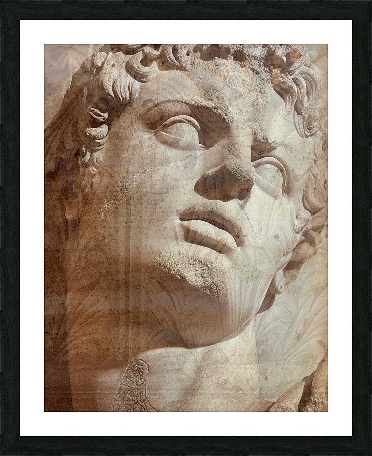 Classic Beauty  Picture Frame print