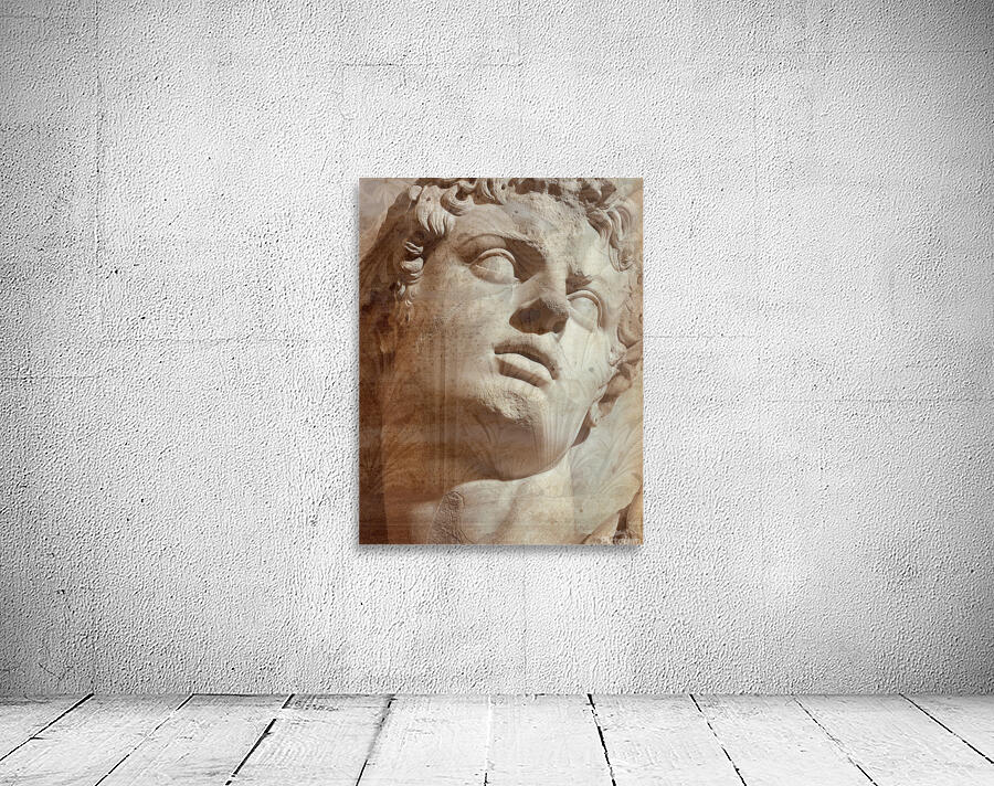 Classic Beauty  Wall Preview