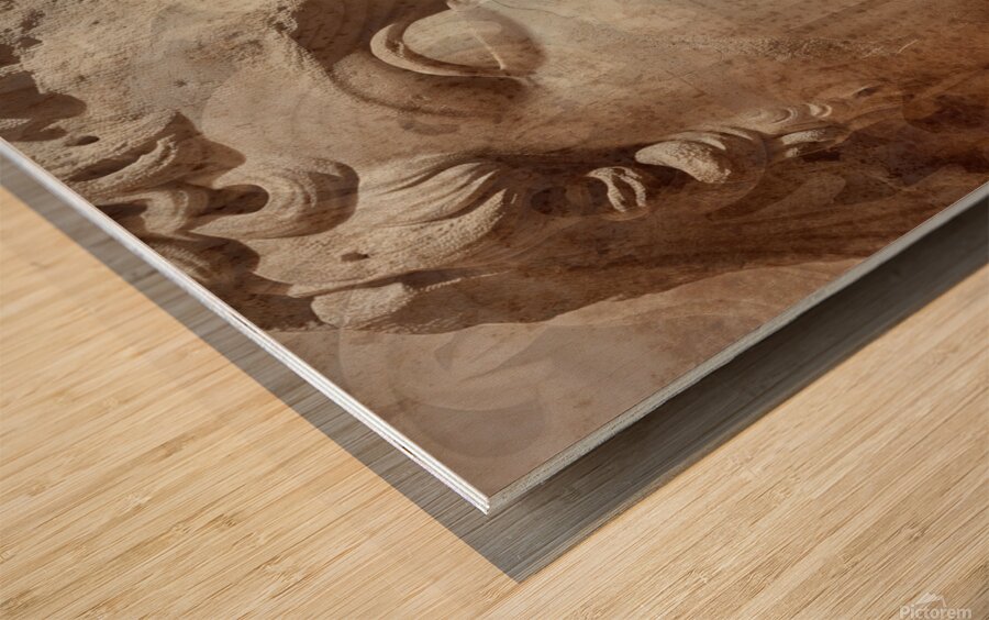 Classic Beauty  Wood print