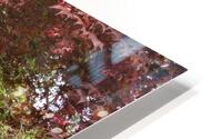 The magic garden HD Metal print