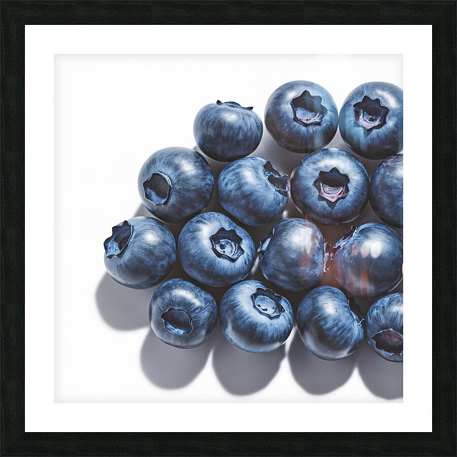 blueberries isolated Picture Frame print