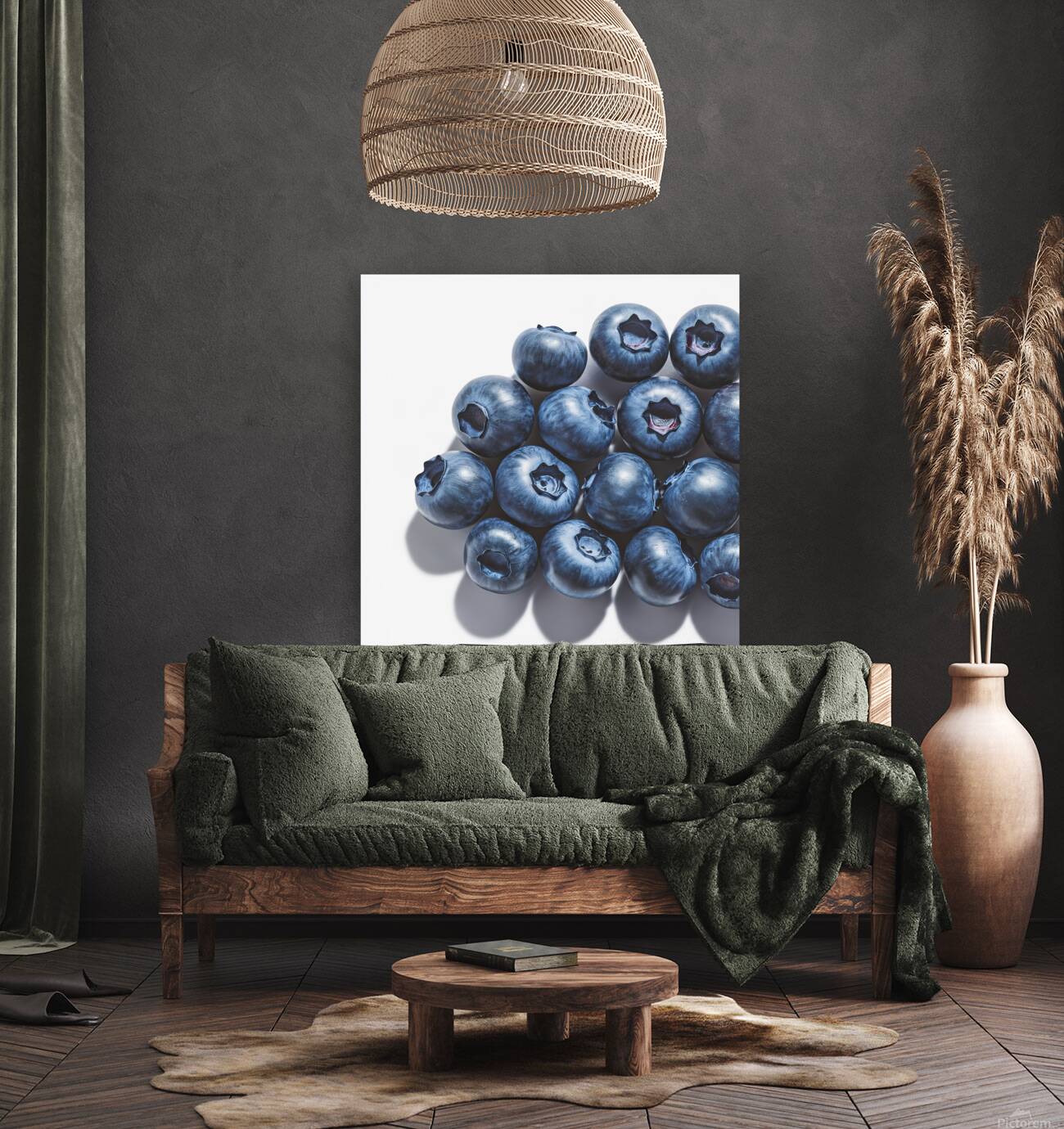 blueberries isolated Reproduction