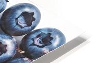 blueberries isolated HD Metal print