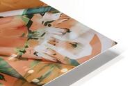 Fresh apricot pattern HD Metal print