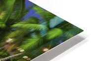 Summer tropical background HD Metal print