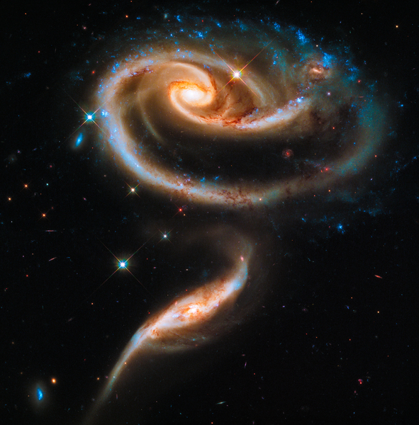 Space image Galaxy rose Digital Download