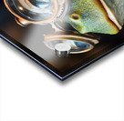 The Steampunk Frog Scholar Acrylic print