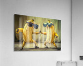Dynamic Duo - Dancing Bananas Acrylic Print