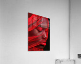 Red 02 Radiant Elegance Acrylic Print