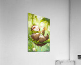 Tea Time with a Sloth Acrylic Print