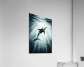 Orca Grace Acrylic Print