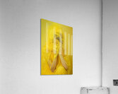 Covered in Yellow 01 Acrylic Print