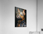 Steampunk Animal - A Cool Biker Dog Acrylic Print