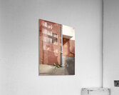 Persistence in Pastel Acrylic Print