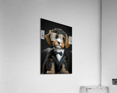 Well-dressed Animal 46 Cavapoo Dog Acrylic Print