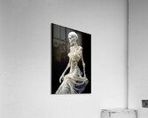 Skeleton Bride 01 Acrylic Print