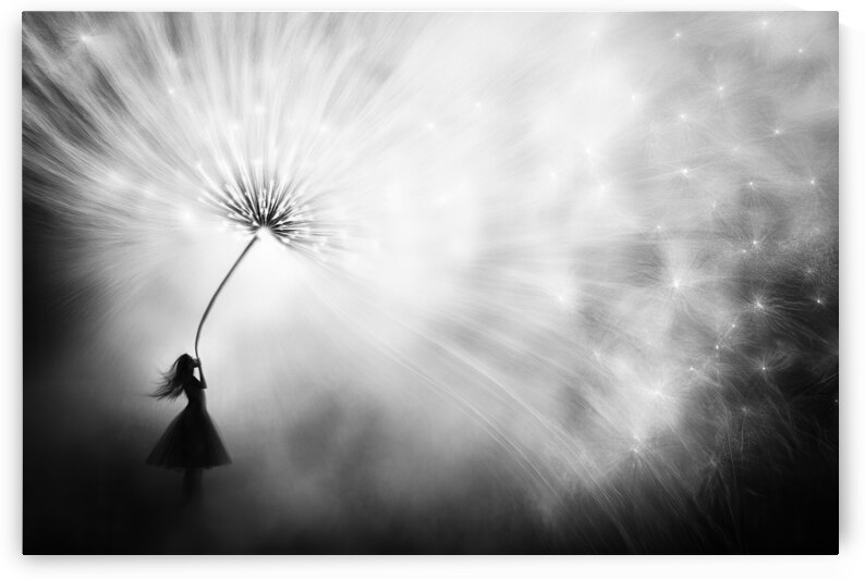 Wishes in the Wind - Ethereal Dandelion Dreams by Matthias Hauser