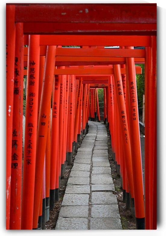 Path of Devotion - Vermilion Torii Gates at Nezu Shrine Tokyo by Matthias Hauser