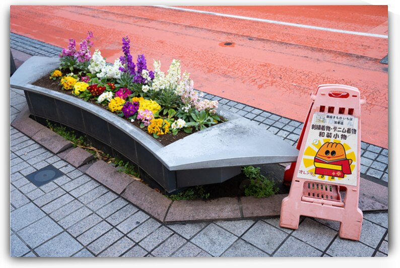 Spring Blooms and Street Signs - Tokyo Sidewalk Charm by Matthias Hauser