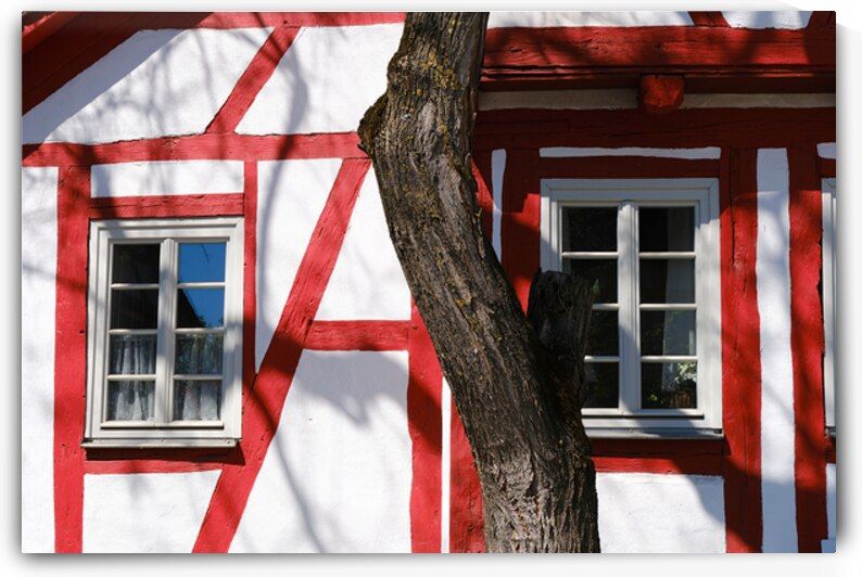 Timber Frame and Tree Trunk - Sindelfingen Facade Detail by Matthias Hauser