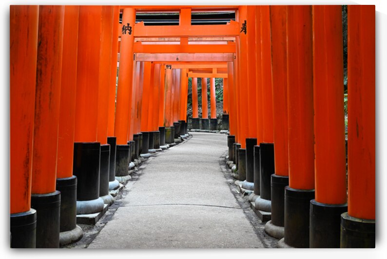 Torii Pathway at Fushimi Inari Shrine - Kyoto Japan by Matthias Hauser