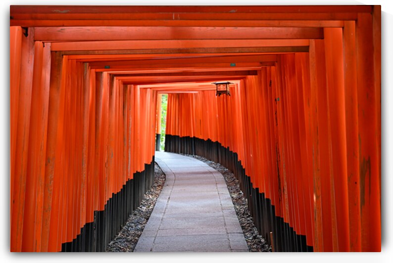 Path Through the Torii Gates - Fushimi Inari Kyoto by Matthias Hauser