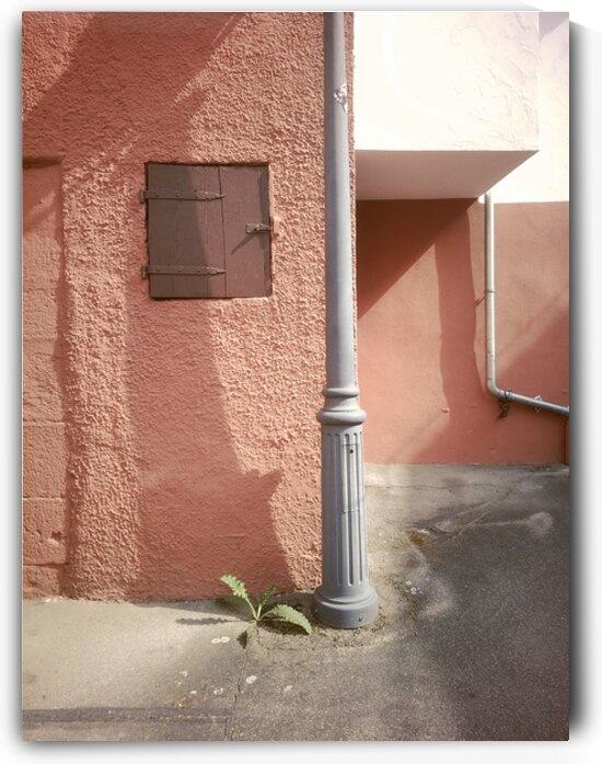 Persistence in Pastel by Matthias Hauser