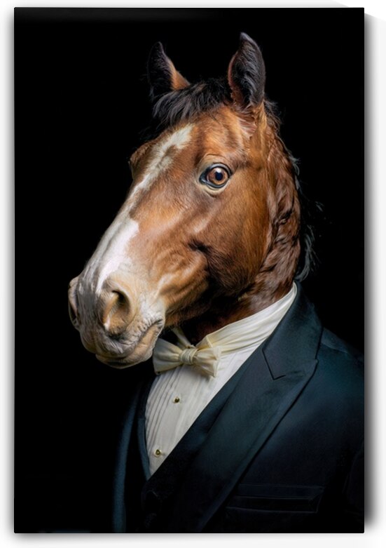 Funny Well-Dressed Horse - Formal Elegance by Matthias Hauser