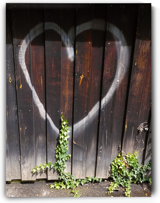 Heart and Ivy - Love Grows in Unexpected Places by Matthias Hauser