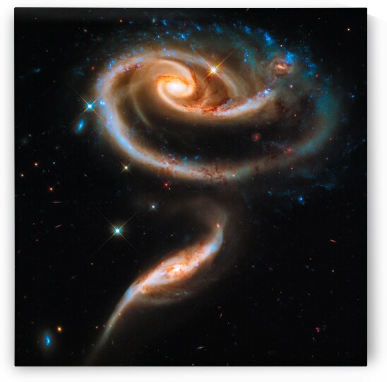 Space image Galaxy rose by Matthias Hauser