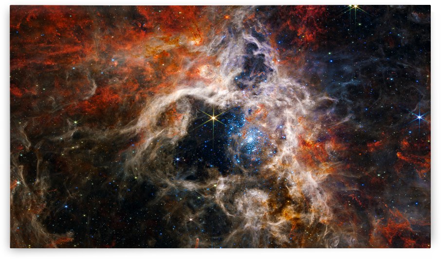 Tarantula Nebula Space Image James Webb Telescope by Matthias Hauser