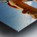Skydiving Burger Feast Metal print