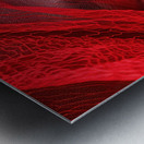 Red 02 Radiant Elegance Metal print