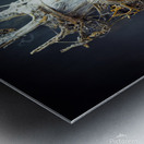 Skeleton King 01 Metal print