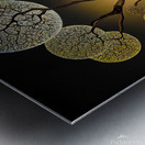Fractal Tree 04 Metal print