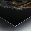 Well-dressed Animal 46 Cavapoo Dog Metal print