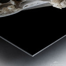Skeleton Bride 03 Metal print