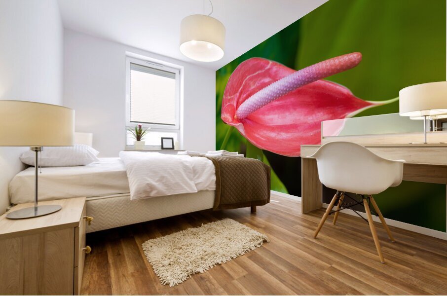 Flamingo Flower in Bloom Mural print