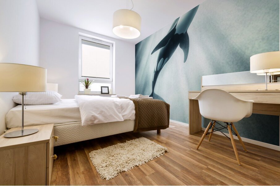 Orca Grace Mural print