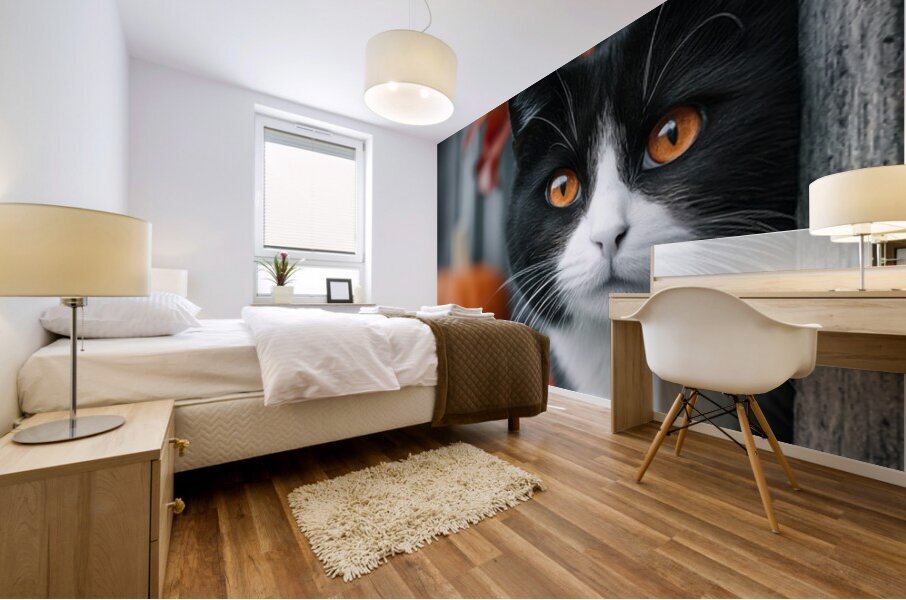 Tuxedo Cat with Autumn Pumpkins Mural print