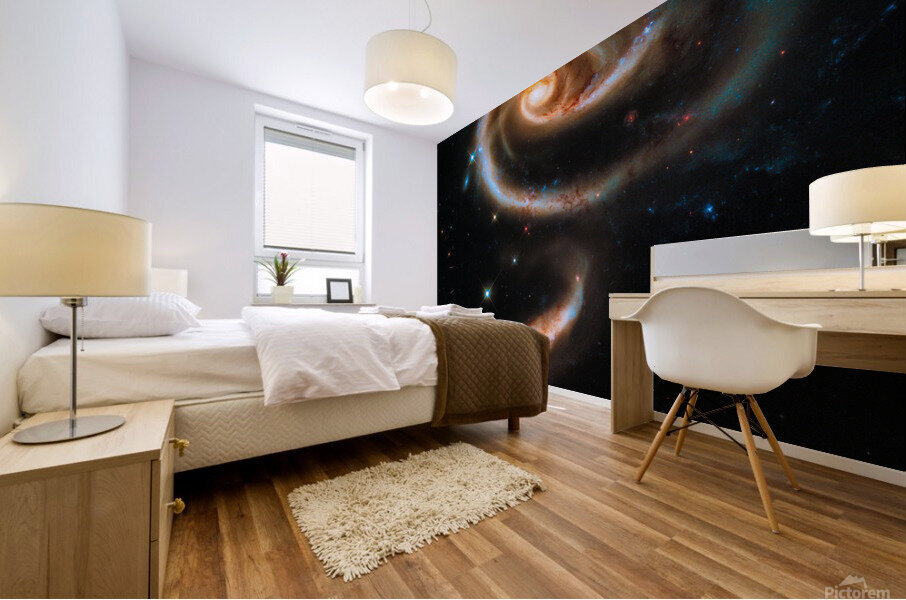 Space image Galaxy rose Mural print