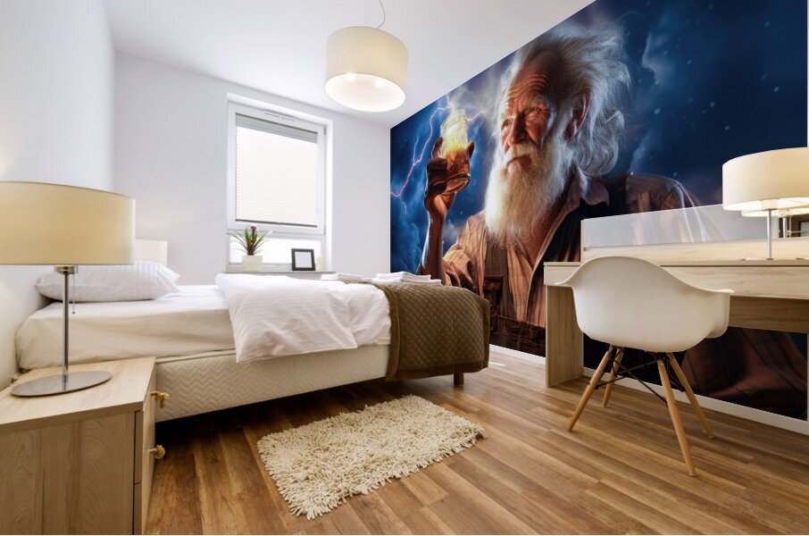 Flash Collector 01 Old Man Mural print
