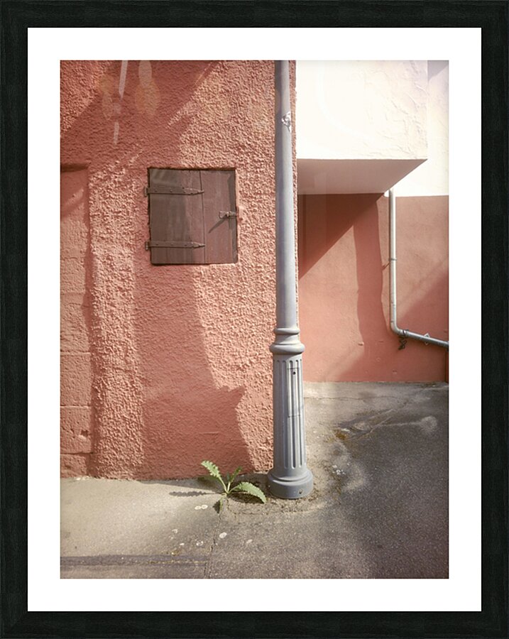 Persistence in Pastel Picture Frame print